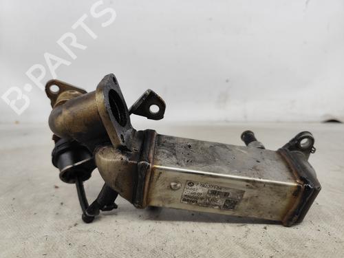 Egr BMW 1 (E87) 120 d 779737104