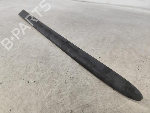 Door moulding trim NISSAN ALMERA TINO (V10) 1.8 | BP24813103C150 