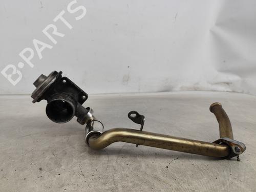 Egr BMW 5 (E39) 530 d | BP24640327M69 