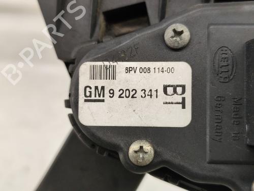 Pedal OPEL ZAFIRA A MPV (T98) 2.2 DTI 16V (F75) | BP25049005I4 