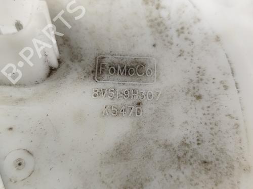 Fuel pump FORD FIESTA VI Van 1.25 | BP25282900M76 