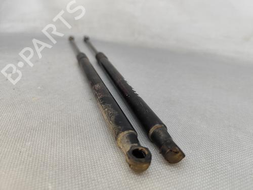 Tailgate lift support NISSAN QASHQAI I (J10, NJ10) 2.0 | BP25287679C138 