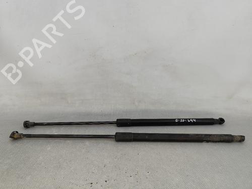 Tailgate lift support NISSAN QASHQAI I (J10, NJ10) 2.0 | BP25287679C138 