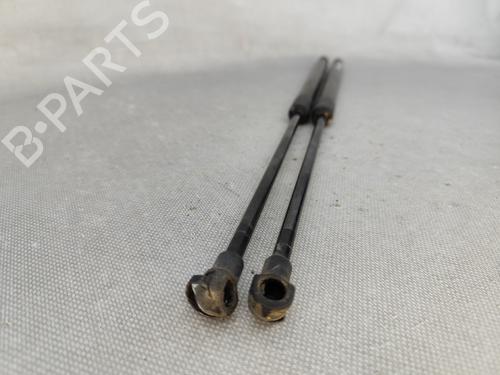 Tailgate lift support NISSAN QASHQAI I (J10, NJ10) 2.0 | BP25287679C138 