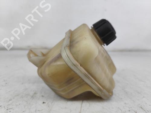 Expansion tank NISSAN QASHQAI I (J10, NJ10) 2.0 | BP25287681C120 