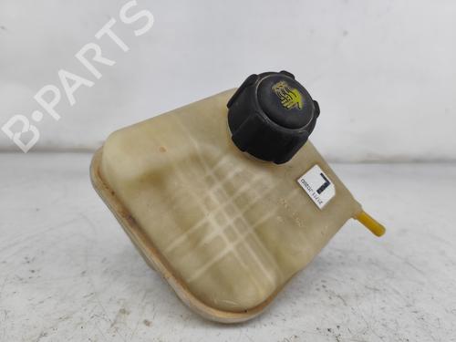 Expansion tank NISSAN QASHQAI I (J10, NJ10) 2.0 21711JD20D