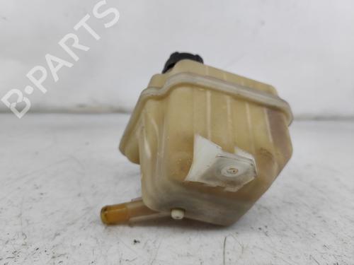 Expansion tank NISSAN QASHQAI I (J10, NJ10) 2.0 | BP25287681C120 