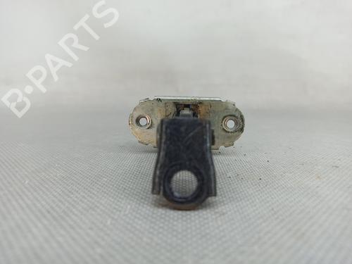 Hinge/Door check strap NISSAN QASHQAI I (J10, NJ10) 2.0 | BP25285047C146 