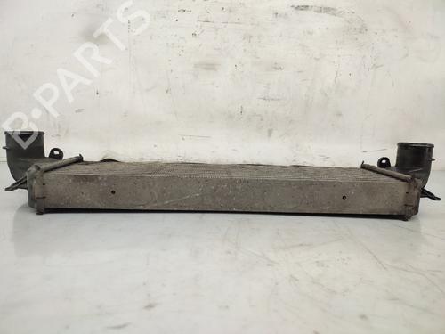 Intercooler BMW X5 (E53) 3.0 d | BP25050396M30 