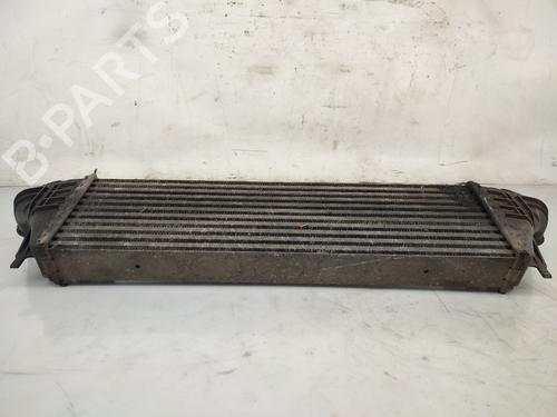 Intercooler BMW X5 (E53) 3.0 d | BP25050396M30 