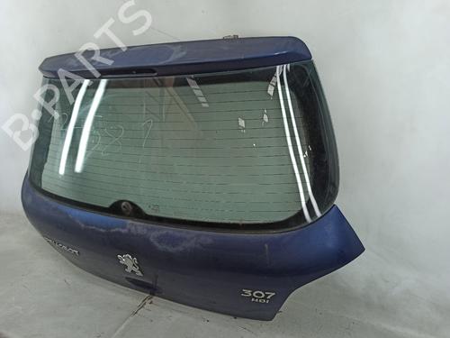 Tailgate PEUGEOT 307 (3A/C) 1.6 HDi 110 | BP25747850C6 