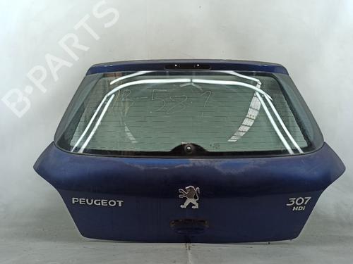 Tailgate PEUGEOT 307 (3A/C) 1.6 HDi 110 | BP25747850C6 