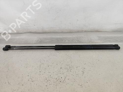 Used Tailgate lift support RENAULT MEGANE III Coupe (DZ0/1_) 1.5 dCi (DZ09, DZ0D, DZ1F, DZ1G, DZ14, DZ29) (110 hp) 25774927