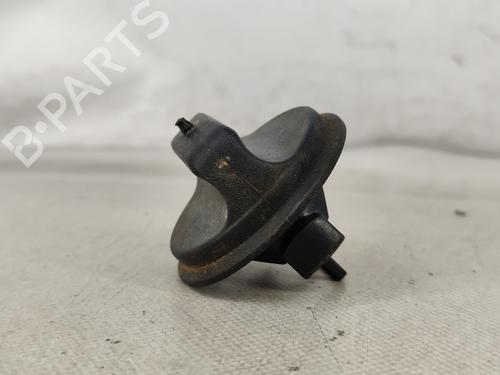 Fuel flap RENAULT CAPTUR II (HF_) TCe 100 (HFMT) | BP25915046C131 