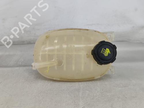 Expansion tank RENAULT CAPTUR II (HF_) TCe 100 (HFMT) 217102572R