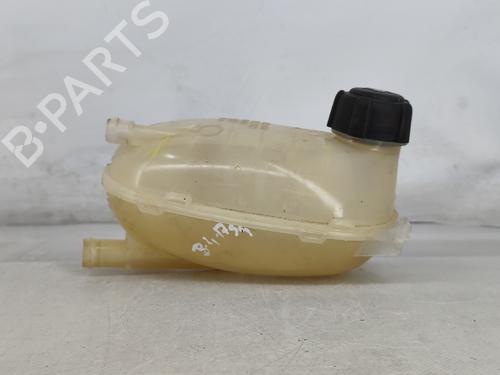 Expansion tank RENAULT CAPTUR II (HF_) TCe 100 (HFMT) | BP25918682C120 