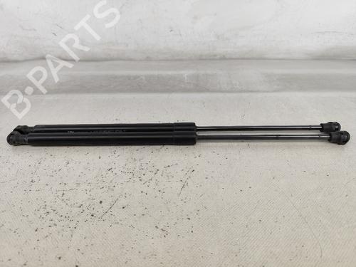 Tailgate lift support RENAULT CAPTUR II (HF_) TCe 100 (HFMT) | BP25918678C138 