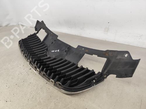 Grille SKODA FABIA II (542) 1.4 TDI | BP26031018C40 
