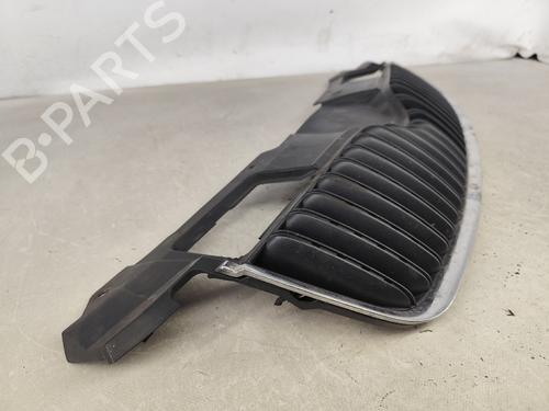 Grille SKODA FABIA II (542) 1.4 TDI | BP26031018C40 