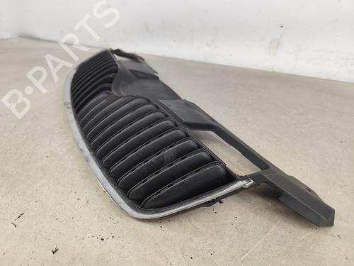 Grille SKODA FABIA II (542) 1.4 TDI | BP26031018C40 