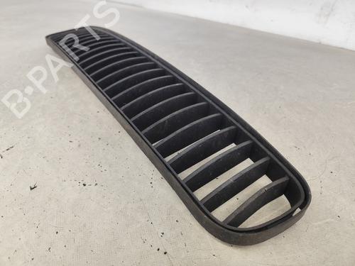 Grille SKODA FABIA II (542) 1.4 TDI | BP26031019C40 