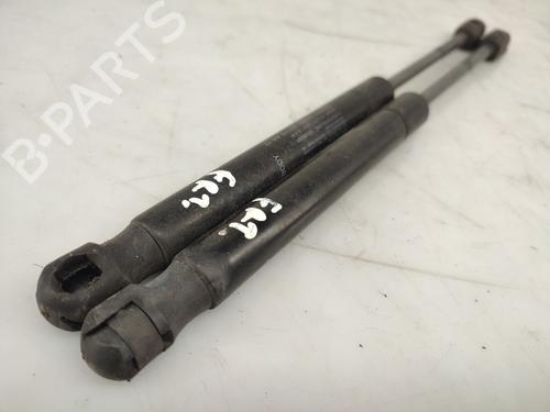 Hood lift support LAND ROVER RANGE ROVER EVOQUE (L538) 2.0 D 4x4 | BP26133135C139