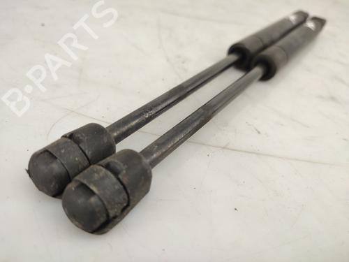 Hood lift support LAND ROVER RANGE ROVER EVOQUE (L538) 2.0 D 4x4 | BP26133135C139