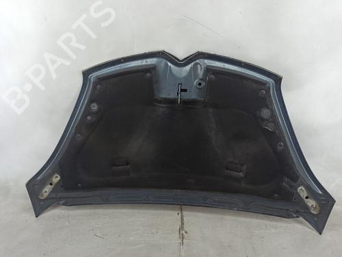 Hood CITROËN C4 Grand Picasso I (UA_) 1.6 HDi | BP26236082C1