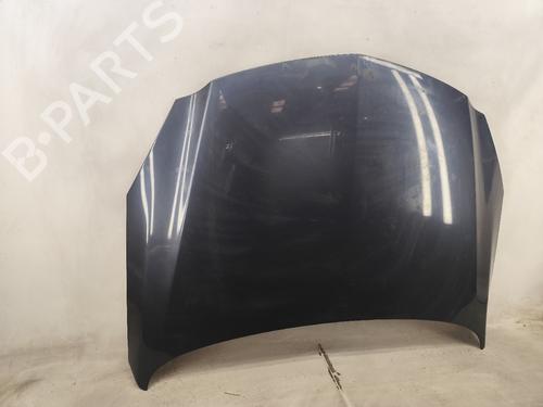Hood OPEL INSIGNIA A Sports Tourer (G09) 2.0 CDTI (35) | BP26569411C1 
