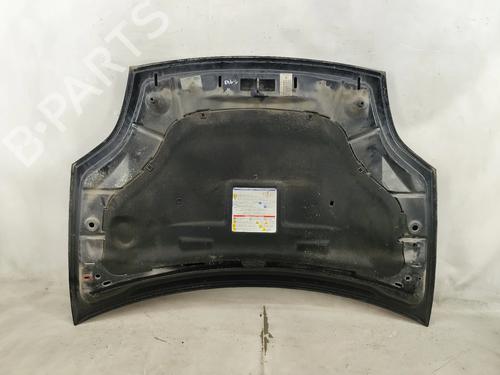 Hood FIAT BRAVO II (198_) 1.6 D Multijet (198AXH1B) | BP28043945C1 