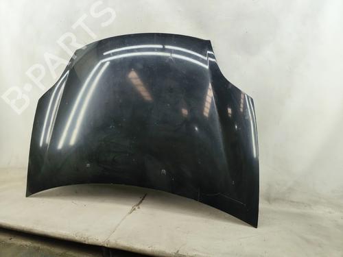 Hood FIAT BRAVO II (198_) 1.6 D Multijet (198AXH1B) | BP28043945C1 