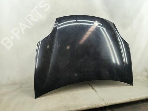 Hood FIAT BRAVO II (198_) 1.6 D Multijet (198AXH1B) | BP28043945C1 