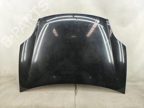 Hood FIAT BRAVO II (198_) 1.6 D Multijet (198AXH1B) N.V