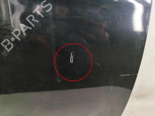 Right front door FIAT BRAVO II (198_) 1.6 D Multijet (198AXH1B) | BP28043877C3 