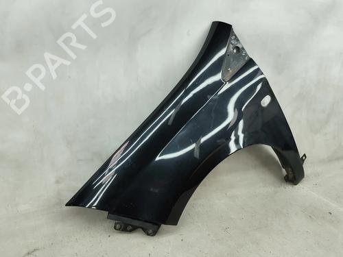 Left front fenders FIAT BRAVO II (198_) 1.6 D Multijet (198AXH1B) | BP28044015C41 