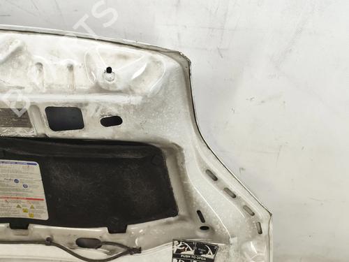 Hood FIAT FIORINO Box Body/MPV (225_) 1.3 D Multijet (225BXD1A, 225BXB1A, 225BXB11) | BP28100400C1 
