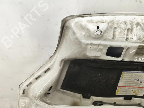 Hood FIAT FIORINO Box Body/MPV (225_) 1.3 D Multijet (225BXD1A, 225BXB1A, 225BXB11) | BP28100400C1 