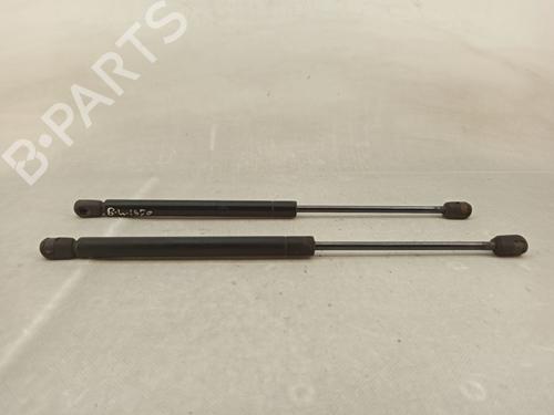 Gassdemper Bakluke RENAULT CLIO II (BB_, CB_) 1.2 (BB0A, BB0F, BB10, BB1K, BB28, BB2D, BB2H, CB0A,... | BP25700219C138 