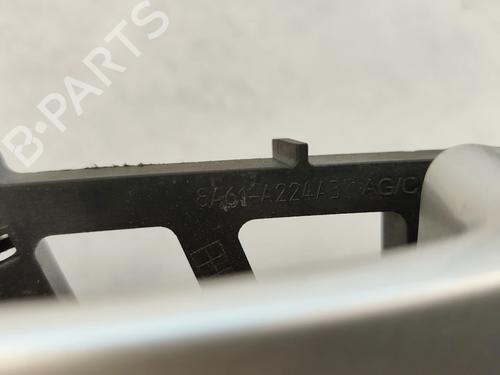 Rear left exterior door handle FORD FIESTA VI (CB1, CCN) 1.4 TDCi | BP26300693C130 