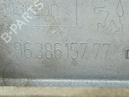 Door moulding trim PEUGEOT 307 Break (3E) 1.6 16V | BP28043905C150 