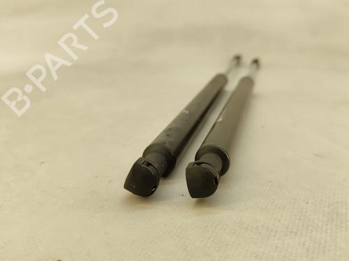 Tailgate lift support RENAULT LAGUNA II Grandtour (KG0/1_) 2.2 dCi (KG0F) | BP25786572C138 