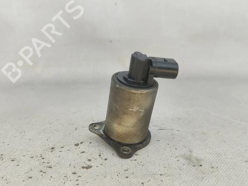 Egr RENAULT SCÉNIC III (JZ0/1_) 1.9 dCi (JZ0J, JZ1J, JZ1K, JZ1S) | BP28426589M69