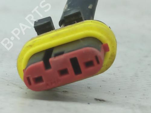 Fuel pump FIAT DUCATO Van (230_) 2.5 D 4x4 | BP28520138M76 