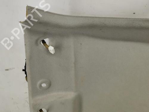 Interior roof NISSAN JUKE (F15) 1.6 | BP28810924I12 