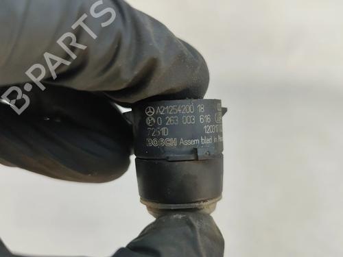 Electronic module MERCEDES-BENZ E-CLASS (W212) E 250 CDI / BlueTEC (212.003, 212.004) | BP28826709M83 