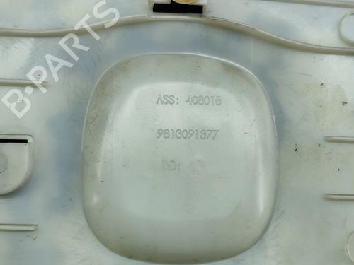 Door moulding trim CITROËN C3 III (SX) 1.2 THP 110 (SXHNPS, SXHNZT, SXHNZ6) | BP29075030C150 