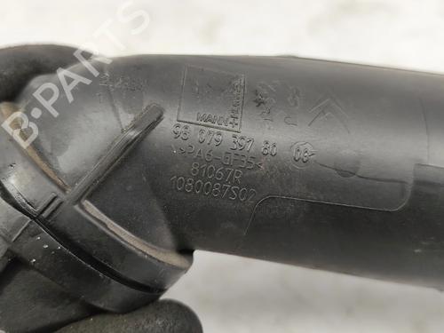 Pipe CITROËN C3 III (SX) 1.2 THP 110 (SXHNPS, SXHNZT, SXHNZ6) | BP29075055M125 