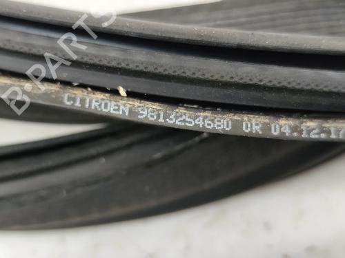 Rubber door seal CITROËN C3 III (SX) 1.2 THP 110 (SXHNPS, SXHNZT, SXHNZ6) | BP29075061C142 