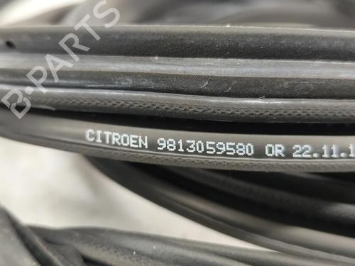 Rubber door seal CITROËN C3 III (SX) 1.2 THP 110 (SXHNPS, SXHNZT, SXHNZ6) | BP29075062C142 