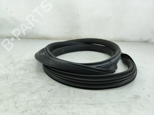 Rubber door seal CITROËN C3 III (SX) 1.2 THP 110 (SXHNPS, SXHNZT, SXHNZ6) | BP29075063C142 